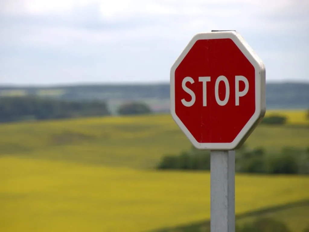 Traffic Signs: Insertion & Following in Pakistan