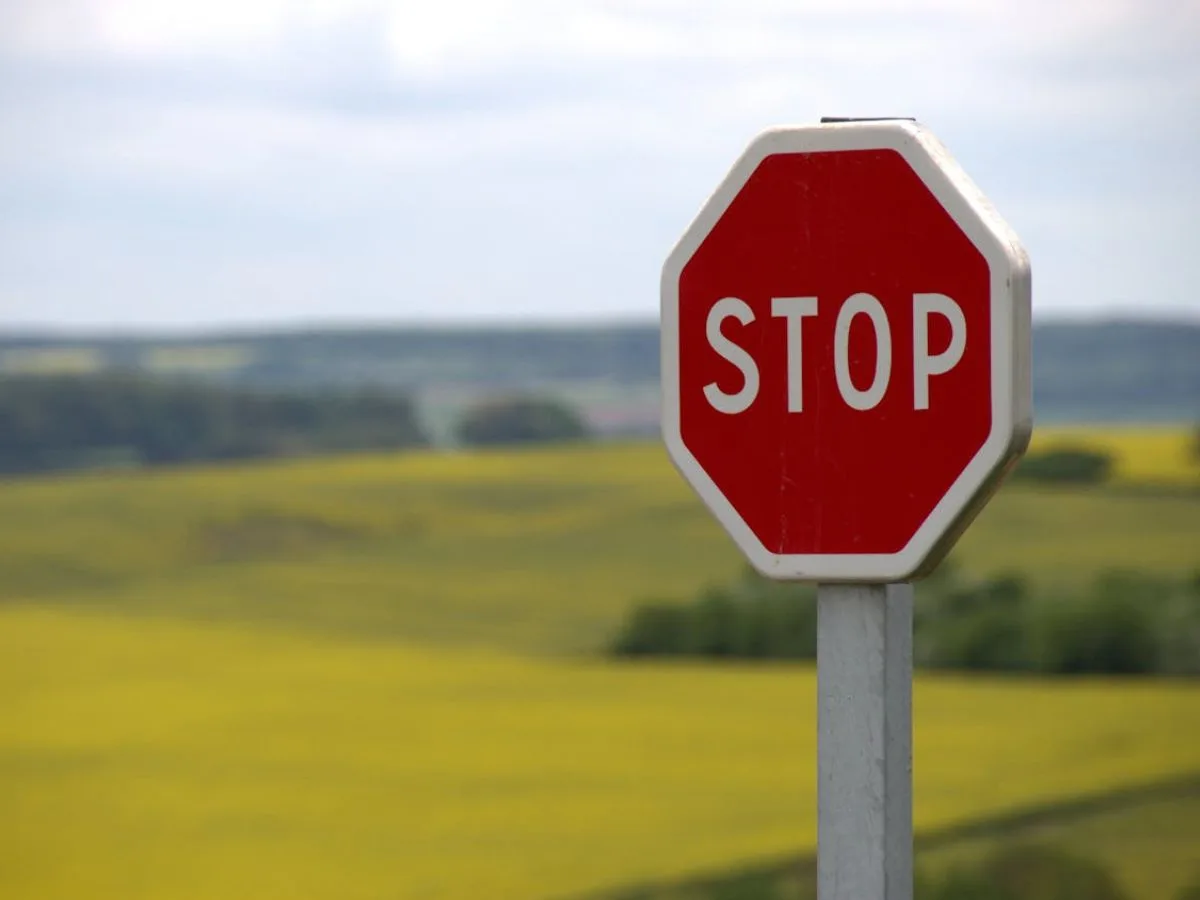 Traffic Signs: Insertion & Following in Pakistan