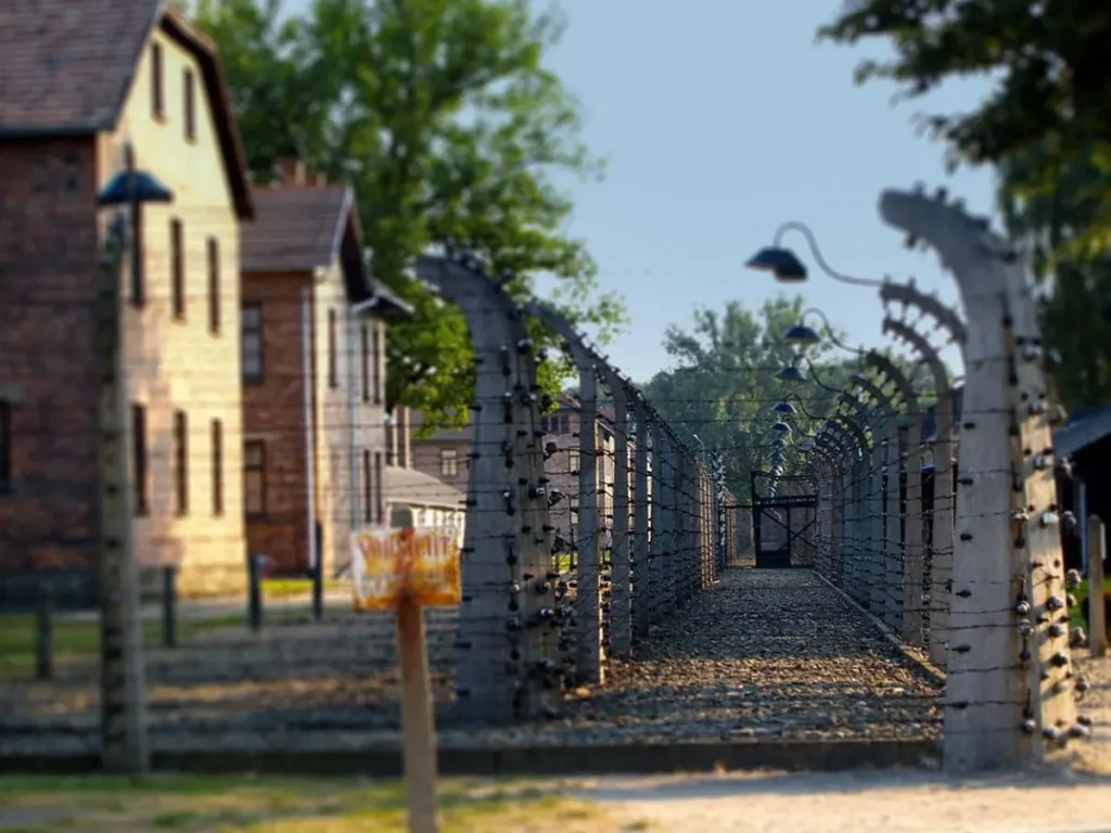 The story behind the Netherlands' empty prisons: